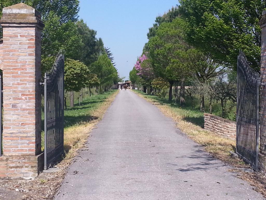 Agriturismo L'Angelina Willa Alfonsine Zewnętrze zdjęcie
