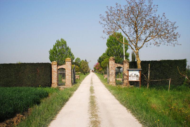 Agriturismo L'Angelina Willa Alfonsine Zewnętrze zdjęcie